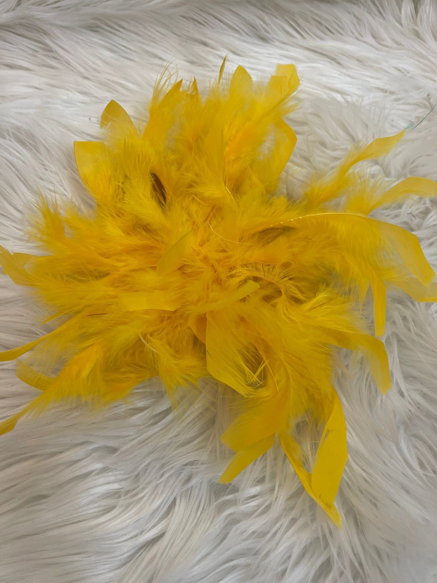Spilla con piume