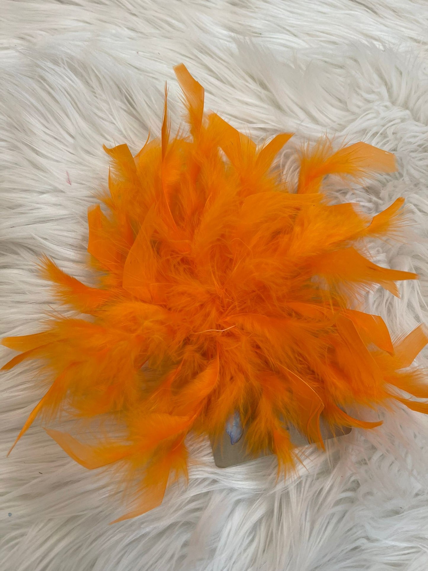 Spilla con piume