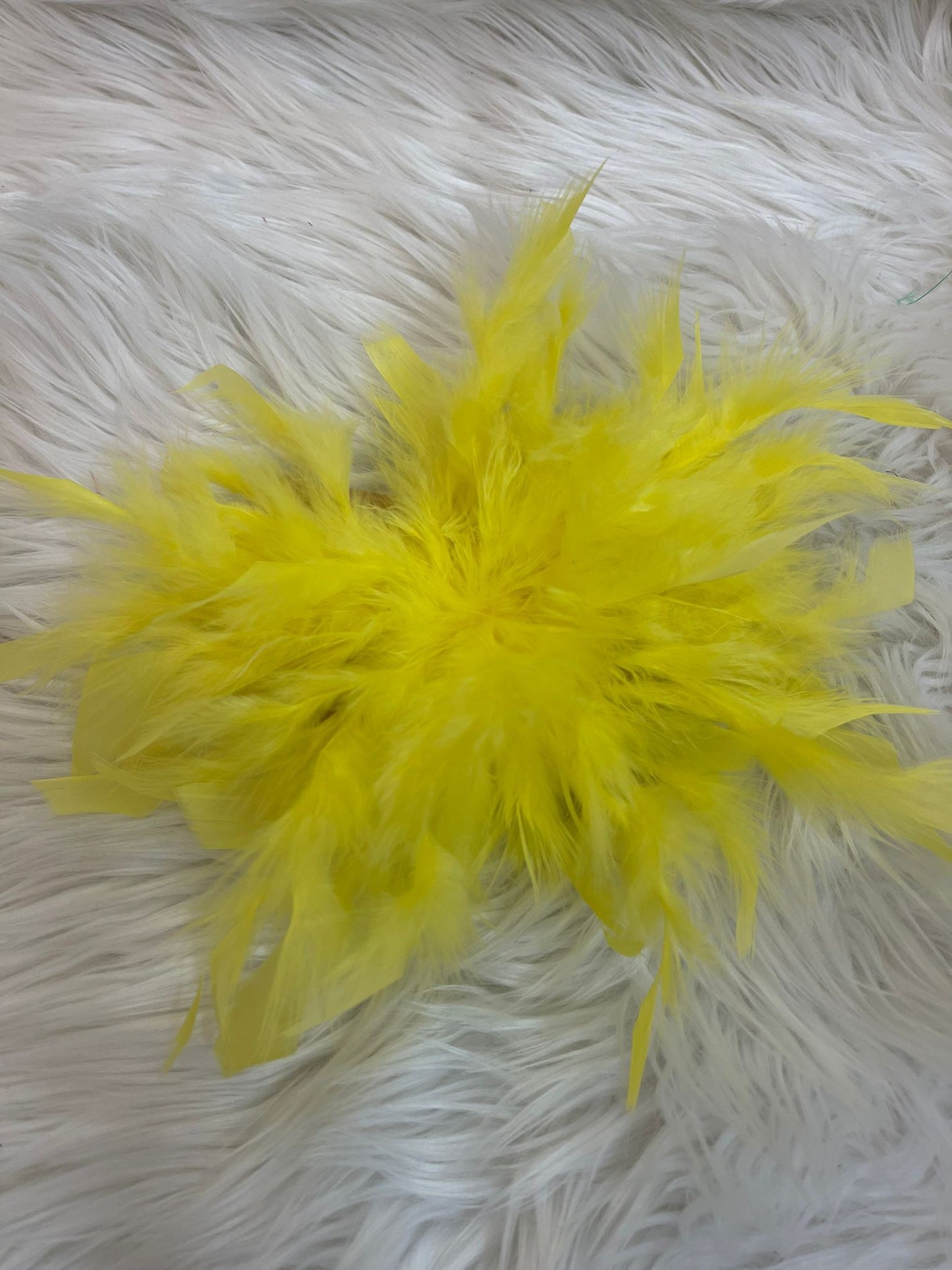 Spilla con piume
