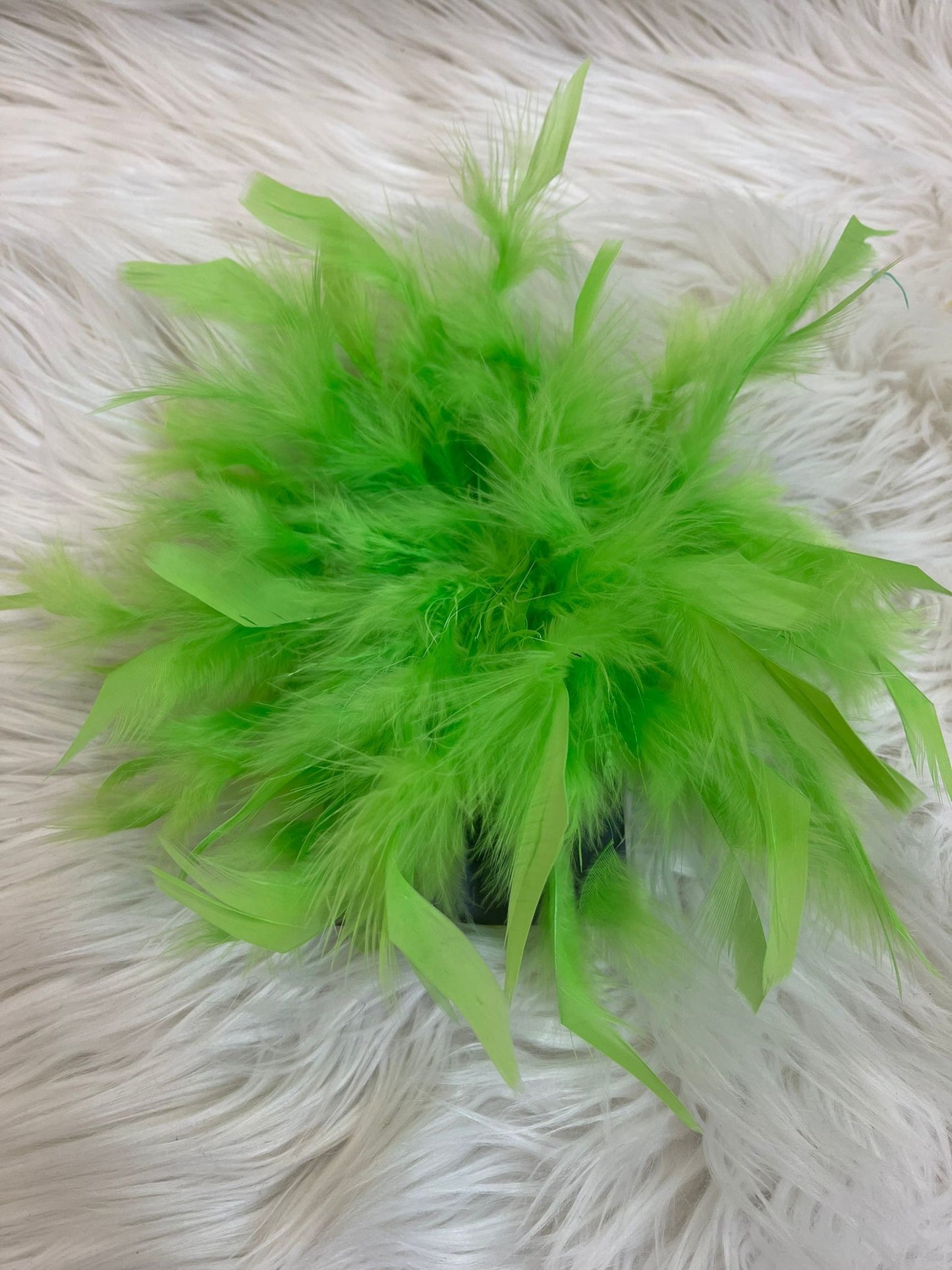 Spilla con piume