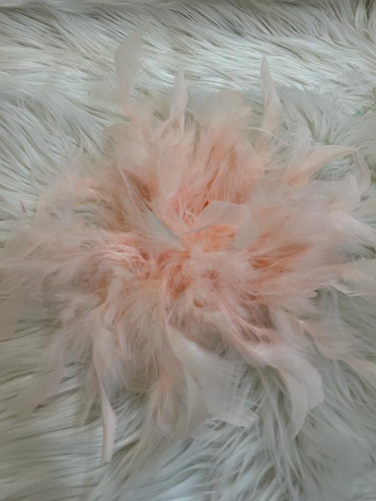 Spilla con piume