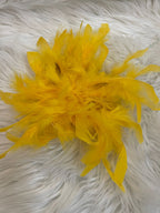 Spilla con piume